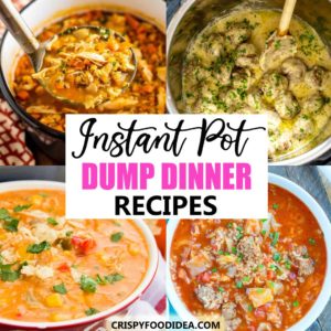 21 Healthy Instant Pot Dump Dinner Recipes That'll Love Your Family