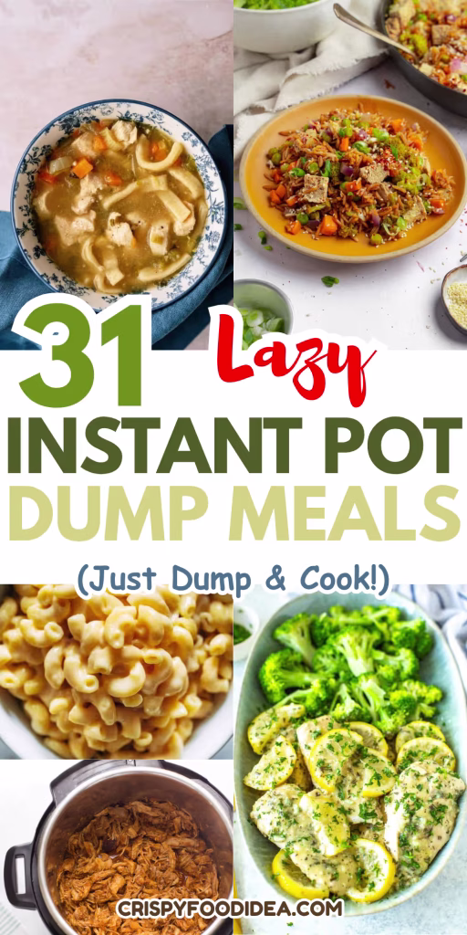31 Dump & Go Instant Pot Meals (5 Ingredients, Lazy & Healthy Recipes) 37 Lazy Instant Pot Dump Meals