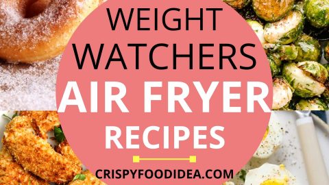 Weight Watchers Air Fryer Recipes