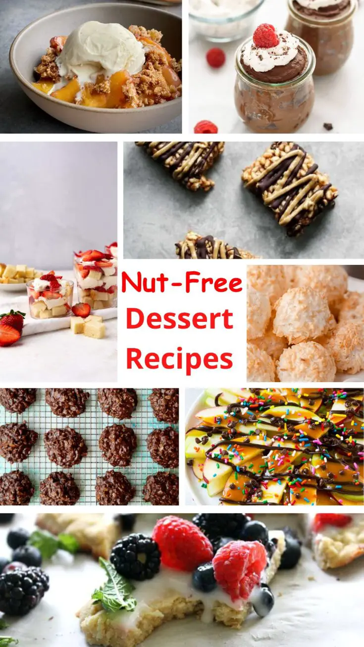 21 Tasty Nut-Free Desserts That Everyone Will Love (Kid-Friendly & Allergy-Safe!) 52 Nut Free Desserts