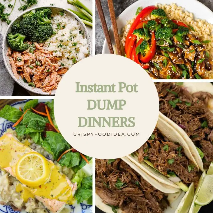 Instant Pot Dump Dinners