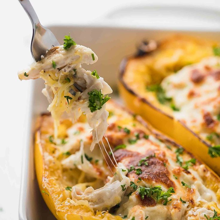 Image for Chicken Alfredo Spaghetti Squash Low-Carb, Keto