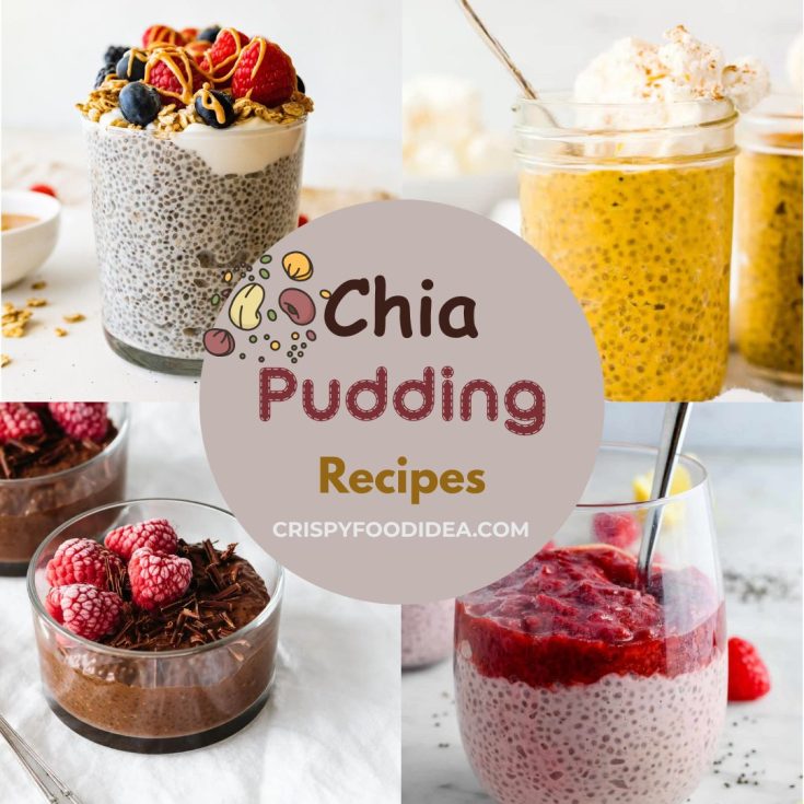 Chia Pudding Recipes