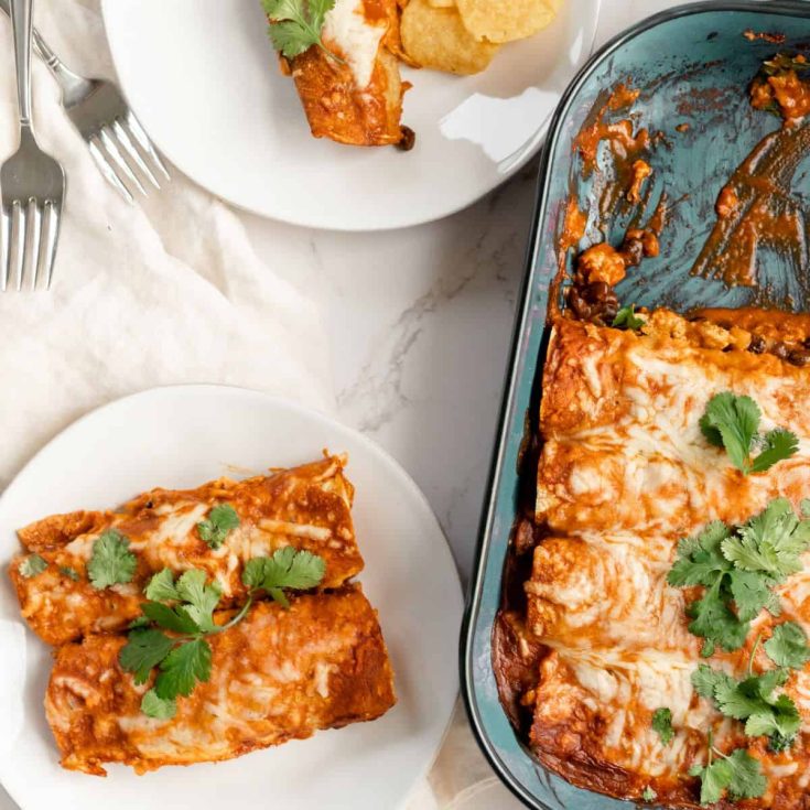 Image for Ground Chicken Enchiladas