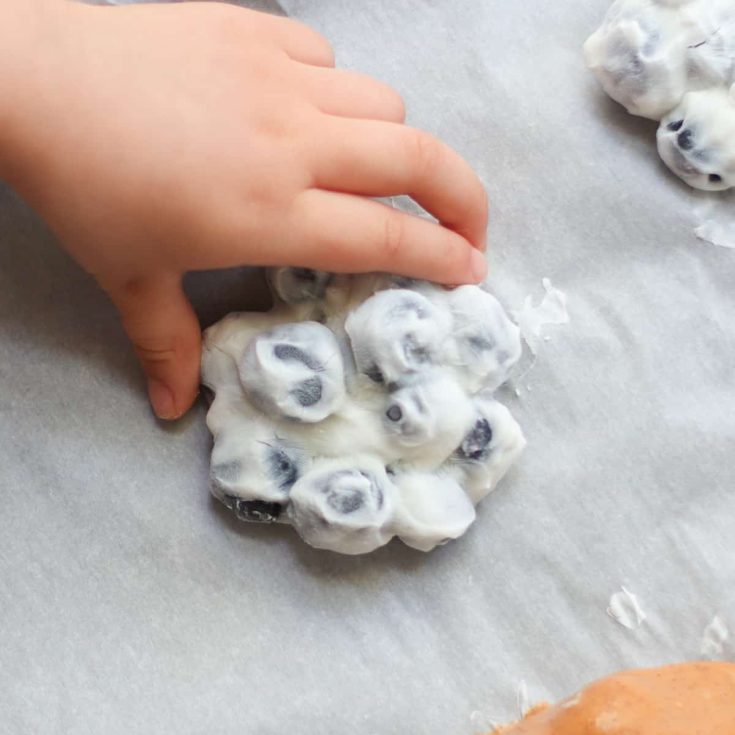 Image for Frozen Yogurt Covered Blueberries