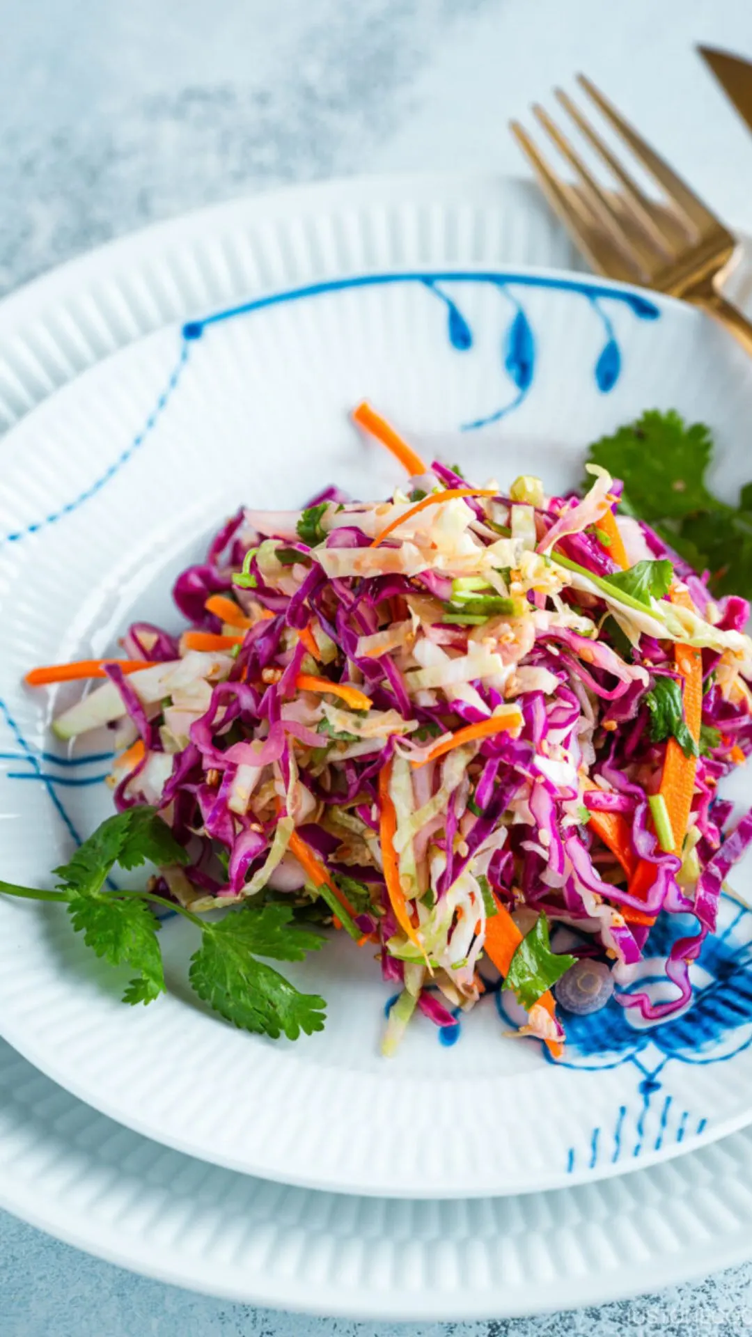 Asian sesame coleslaw with sesame seeds and scallions
