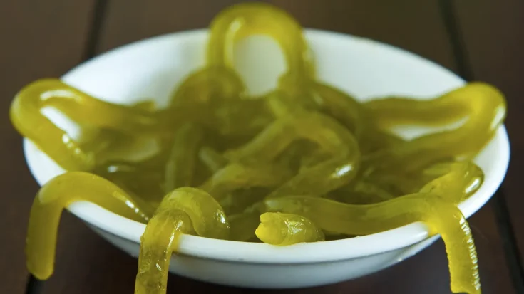 15 Halloween Jello Shot Recipes That’ll Spook Your Party (Fun, Easy & Boozy!) 34