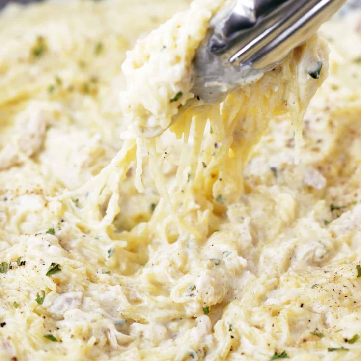Image for Chicken Alfredo Spaghetti Squash