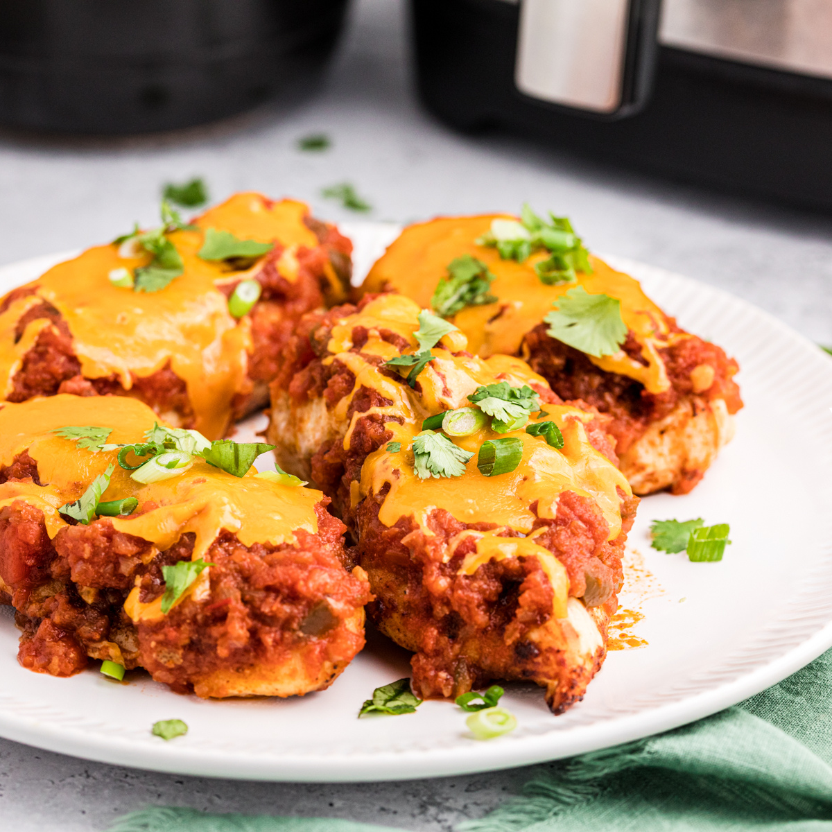 Image for Air Fryer Salsa Chicken