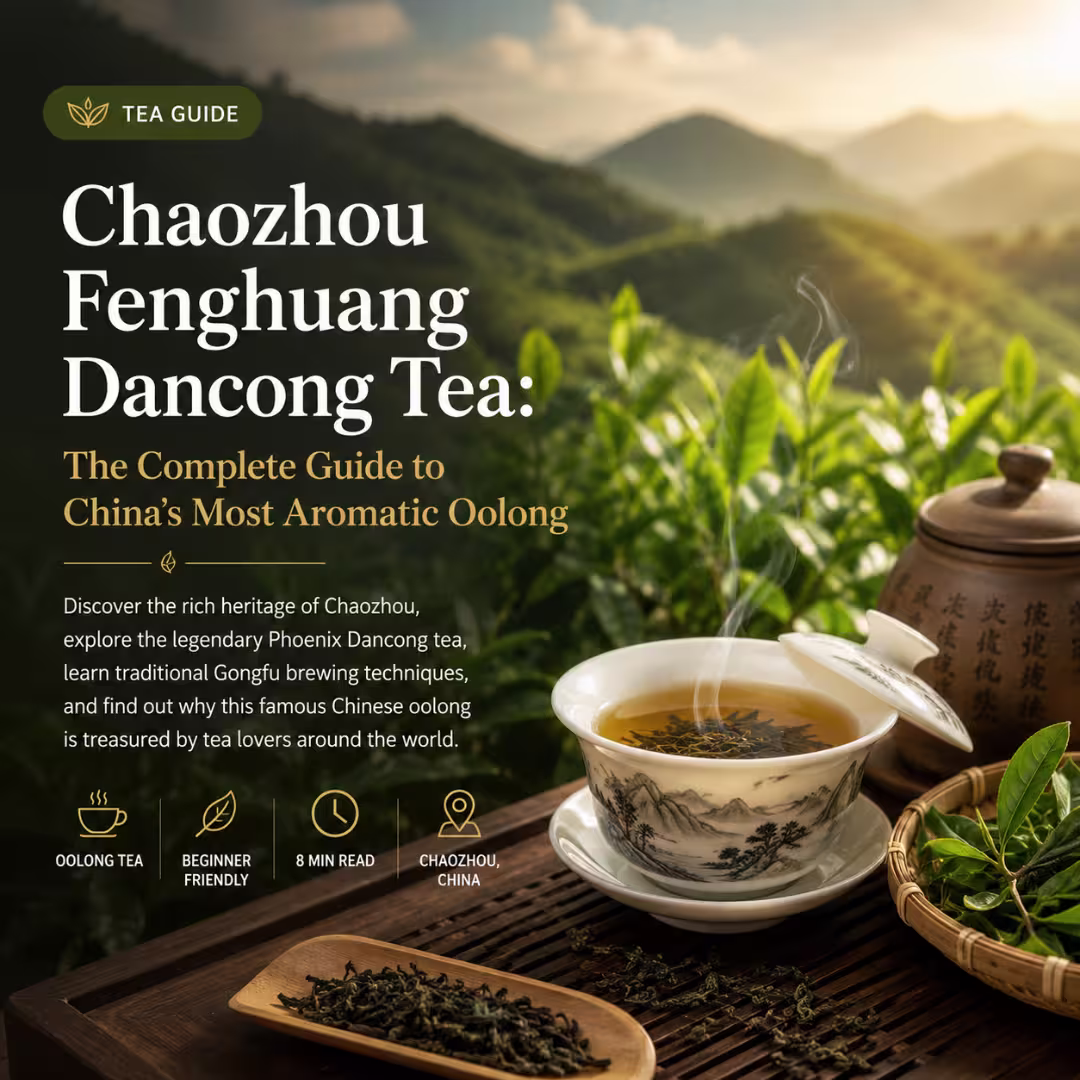 Chaozhou Fenghuang Dancong Tea | Fenghuang Dancong Tea