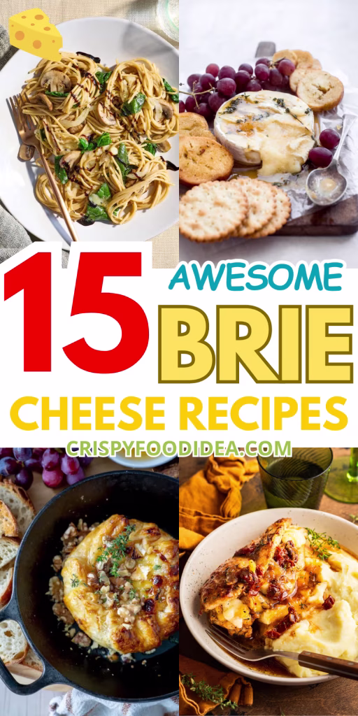 best Brie Cheese Recipes
